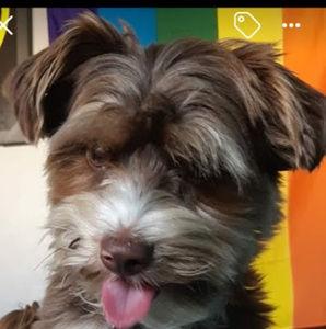 Meet your Posher, Kyla